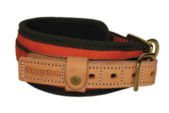 Niggeloh Hunde Schweißhalsung in Größe 40-50 40-50 | orange