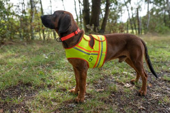 Farmland Hunde Reflektorweste M | gelb