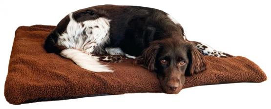 Blaser Hundedecke 