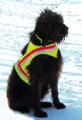 Gr.3 Hundewarnweste 