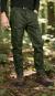 morepic-1