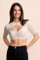 morepic-1